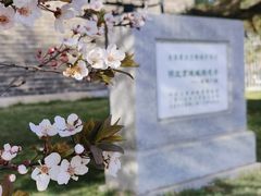 -北京明城墙遗址公园