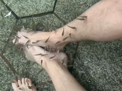 -明月山天沐温泉度假村