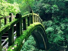 -神农架香溪源景区