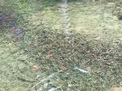 -宁波五龙潭景区