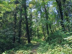 -素山寺森林公园