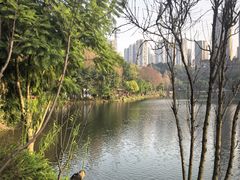 -重庆彩云湖湿地公园