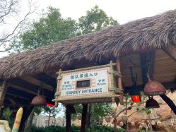 -翱翔飞越地平线