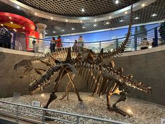 -国家自然博物馆