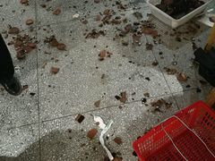 -巴人堂(女儿城店)