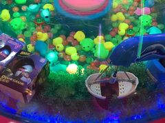 -汤姆熊欢乐世界(大连恒隆广场店)