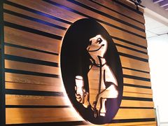 -bluefrog蓝蛙(皇庭广场店)