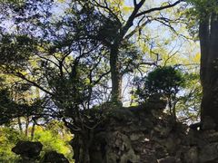 -惠山古镇·寄畅园