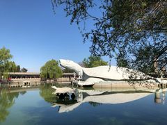 -东方巨龟苑景区