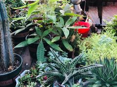 -IFIF 如果花園(宽厚里店)