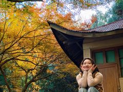 -莫干山风景区