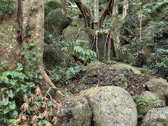 -七仙岭温泉国家森林公园