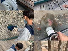 -北京鹿世界主题园