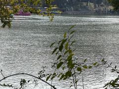 -圩墩遗址公园