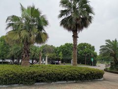 -苏州阳澄湖澜廷酒店-有景阁中餐厅