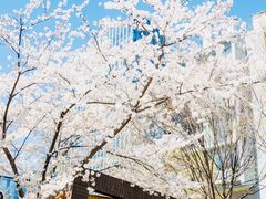 -北京理工大学(中关村校区)