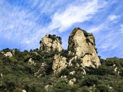 -大岭沟猕猴桃谷风景区