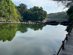 -千岛湖东南湖区