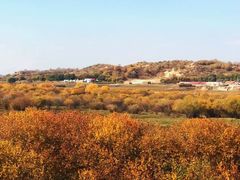 -塞罕坝国家级自然保护区