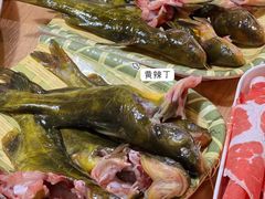 -铭记蛙小仙·活蛙畅享(CBD万达广场店)