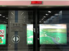 -大望路(地铁站)