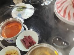 -美宁肥牛(旗舰店)
