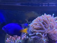 -郑州海洋馆