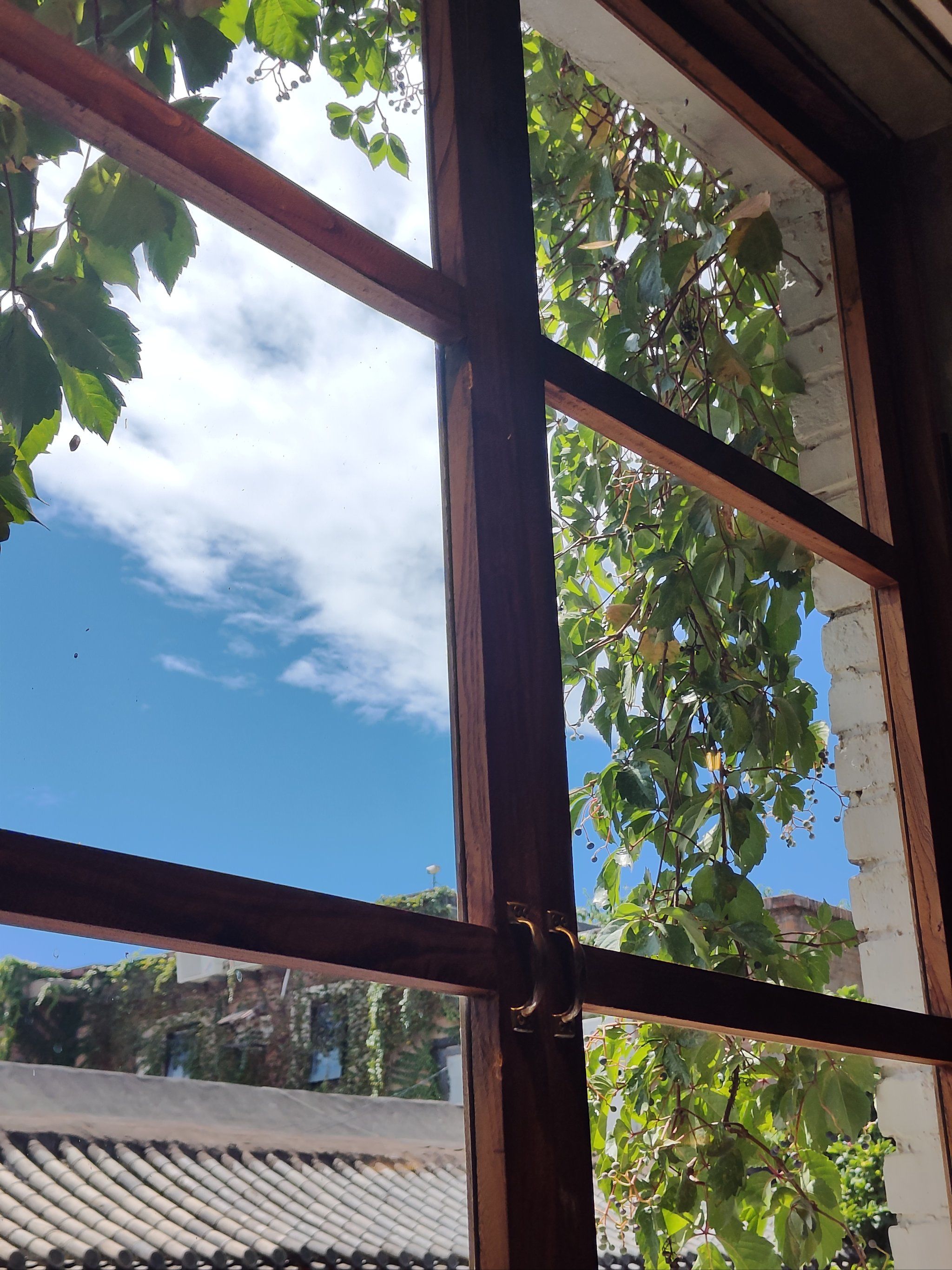 从窗外迎来的悠闲时光