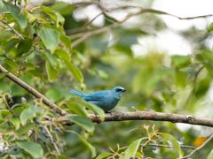 -白塘生态植物园