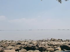 -上海吴淞炮台湾国家湿地公园