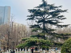 -睦南公园