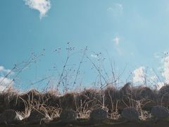 -田德能咖啡博物馆