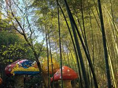 -天目湖山水园