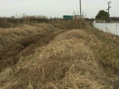 -苏州湾王焰温泉度假酒店