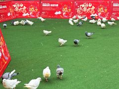 -首创奥特莱斯(西安店)