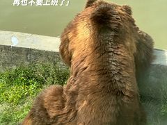 -上海野生动物园