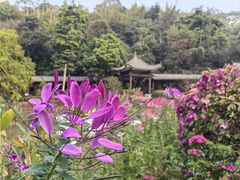 -广州市白云山风景名胜区