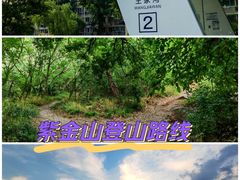 -紫金山山顶公园