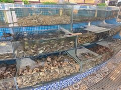 蒸汽海三鲜-蟹谢蒸鲜自助餐厅