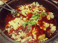 -重庆乌鱼庄·龙滋鲜(青羊大道店)