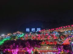 -枇杷园食为鲜火锅(南山店)