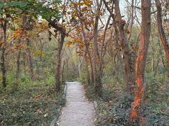 -南京市江宁方山