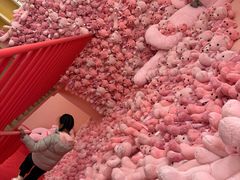 -NENE Chicken(莲洞店)