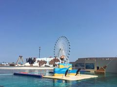 -秦皇岛乐岛海洋王国