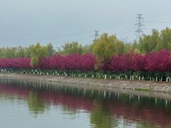 -羊山湖公园