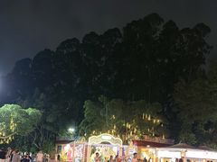 -广州长隆国际大马戏