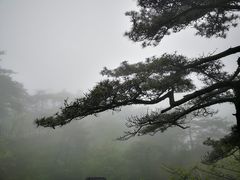 -文娟土菜馆(天柱山店)