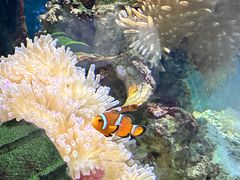 -太平洋海底世界