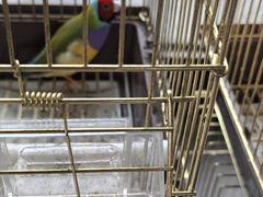 -高晓山馅饼店(牛庄百年店)