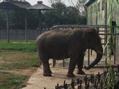 -西安秦岭野生动物园